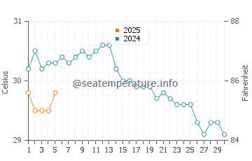 Tulip Beach water temp chart in September
