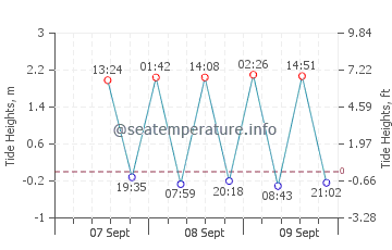 Bluff tide chart