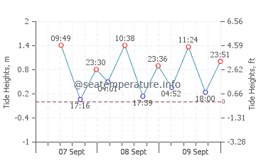 Coron tide chart