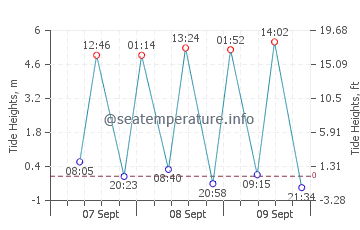 Grays tide chart