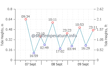 Hamelin Bay tide chart
