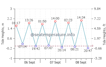 Icod de los Vinos tide chart