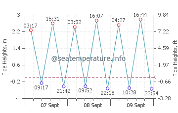 Leca da Palmeira tide chart