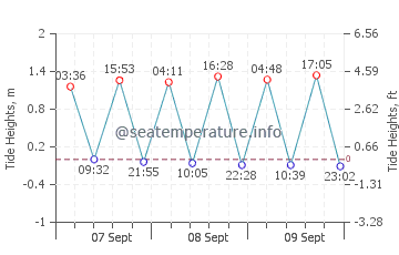 Playa de los Alemanes tide chart