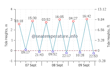 Praia de Mira tide chart