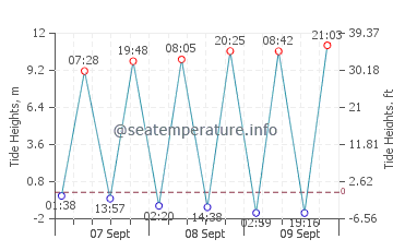 Rogerstone tide chart