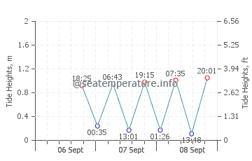 Waitangi tide chart