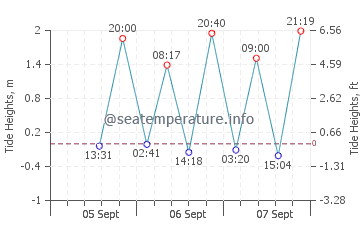 Wellington Point tide chart