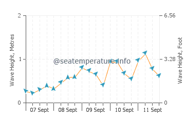 Aden wave height and direction
