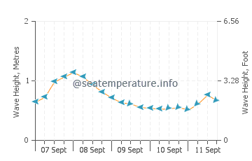 Aitape wave height and direction