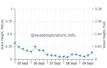 Alad wave height and direction