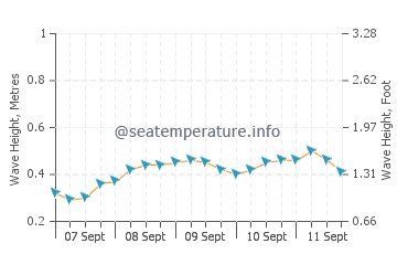 Amahai wave height and direction