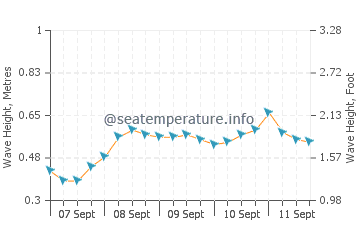 Ambon wave height and direction