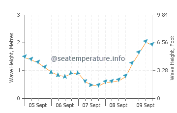 Anglesea wave height and direction
