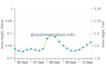 Anito wave height and direction