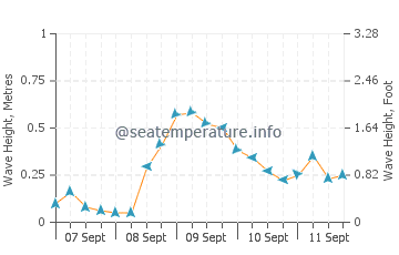Araceli wave height and direction