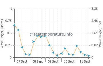 Argyle Shore wave height and direction