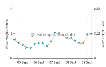 Arzon wave height and direction