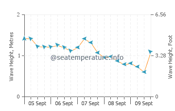 Austinmer wave height and direction