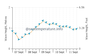 Hastings wave height and direction