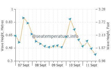 Seacliff wave height and direction