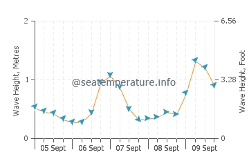 Seaford wave height and direction