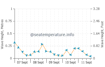 Baie Verte wave height and direction