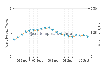 Basco wave height and direction