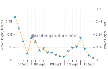Basin Head wave height and direction