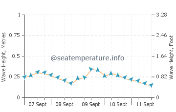 Bay Pines wave height and direction