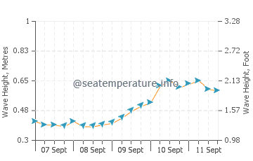 Bayview wave height and direction