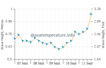 Bereeda wave height and direction