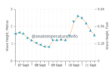 Bermagui wave height and direction
