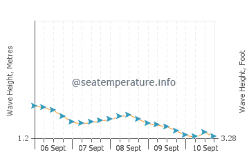 Betalbatim wave height and direction