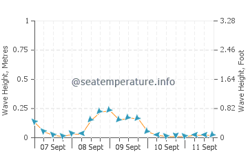 Binay wave height and direction