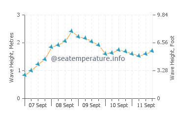 Bordeira wave height and direction