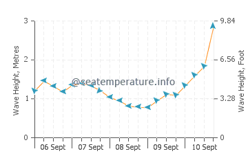 Broulee wave height and direction