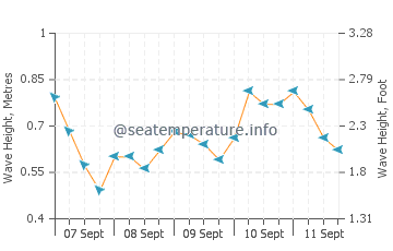 Brownsville wave height and direction