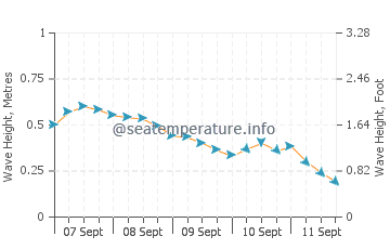 Bunog wave height and direction