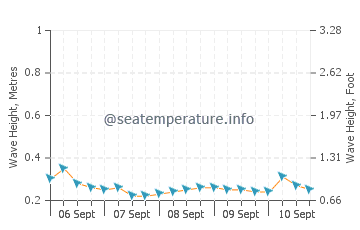 Buru wave height and direction