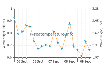 Burum wave height and direction