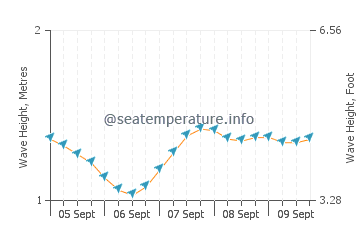 Burutu wave height and direction