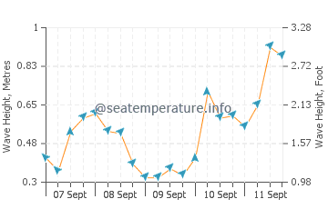Calshot wave height and direction