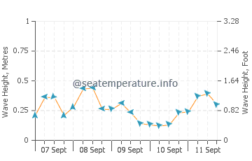 Cameron wave height and direction