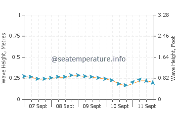 Caminauit wave height and direction