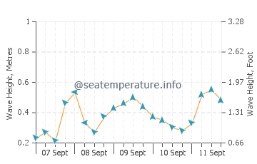 Canelones wave height and direction