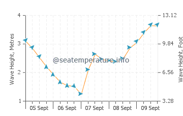 Cape Bridgewater wave height and direction