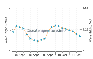 Cape Jervis wave height and direction