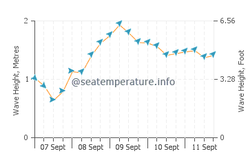 Cape Woolamai wave height and direction