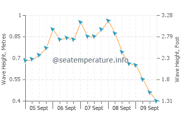 Cape York wave height and direction